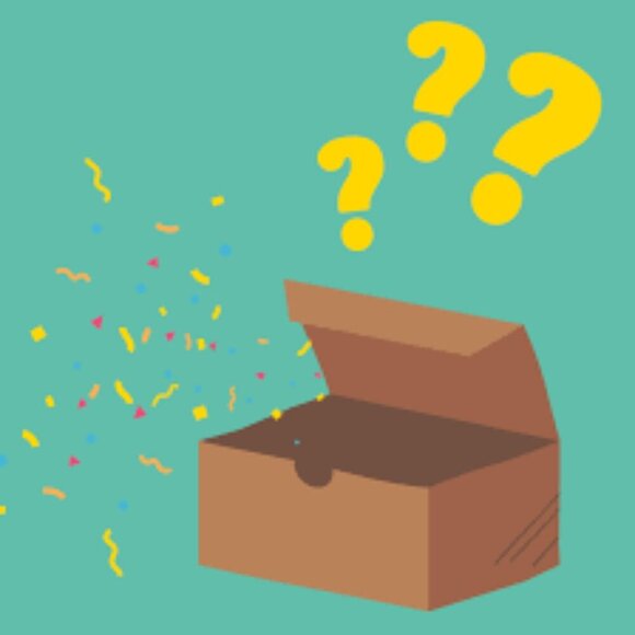 Mystery Box of NWT, NWOT or EUC Items...Awesome Resellers Bundle...Pure Joy... - Picture 3 of 5
